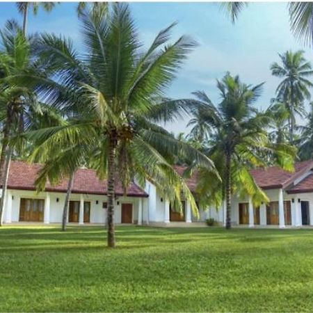 Coco Villa Peach Tree Katunayaka Εξωτερικό φωτογραφία
